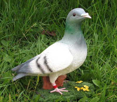 草坪公園戶外玻璃鋼樹脂仿真童趣鴿子雕塑