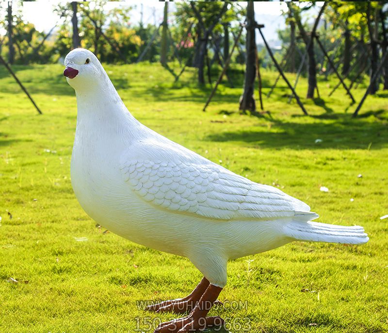 草坪公園仿真動(dòng)物玻璃鋼鴿子雕塑